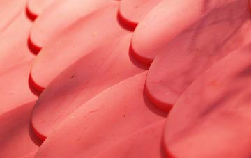 Earnock plastic roof costs